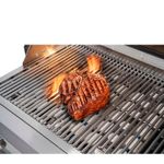 Briquetes cerâmicos mantêm o calor uniforme, reduzem labaredas e realçam o sabor do churrasco.